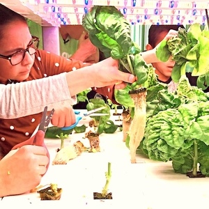 Team Page: Team "Help Us Grow"